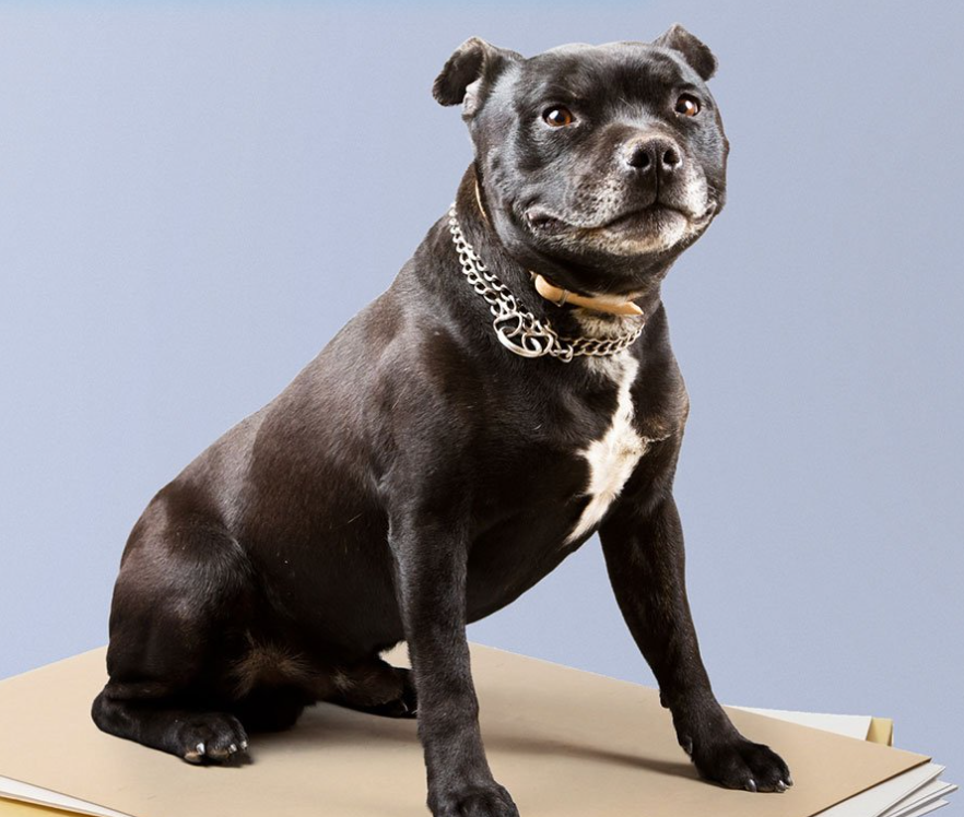 Höchste Sicherheitsstandards